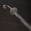Oxygenics Force Brushed Nickel 10-Spray Shower Head 2-GPM (7.6-LPM) -Bath and Faucet shop 010147815689 03337942 1800x1800