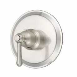 Danze Brushed Nickel Lever Shower Handle
