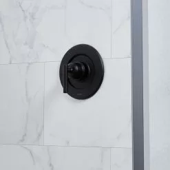 Moen Matte Black Lever Shower Handle