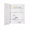 Jensen Metro Oversize 24-in X 30-in Rectangle Surface/Recessed Mirrored Medicine Cabinet