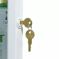 Jensen Hampton Locking 15.75-in X 25.5-in Rectangle Recessed Mirrored Medicine Cabinet