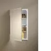 Jensen Perfect Square 16-in X 26-in Rectangle Recessed Mirrored Medicine Cabinet