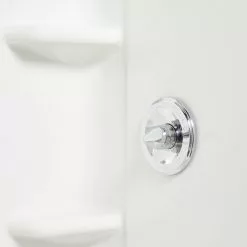 Delta Shower Handle