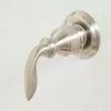 Pfister Brushed Nickel Lever Shower Handle