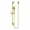Pfister Rhen Brushed Gold 1-Spray Handheld Shower 1.8-GPM (6.8-LPM) -Bath and Faucet shop 038877637241xl 1800x1800