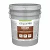 Valspar Pro Storm Coat Neutral Satin Exterior Tintable Paint (Actual Net Contents: 580-fl Oz)