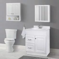 Style Selections 24.25-in X 24-in Square Surface Mirrored Medicine Cabinet 12 Style Selections 24.25-in X 24-in Square Surface Mirrored Medicine Cabinet -Bath and Faucet shop 094803022215 15525530 1800x1800