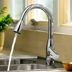 In Stock Hardwarestore Delivery Colony Soft Single-Handle Pull-Down Sprayer Kitchen Faucet With 2.2 GPM In Polished Chrome -Bath and Faucet shop 0ba9094396c34c4089616448a0efa486 1800x1800