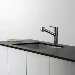 In Stock Hardwarestore Delivery Oletto Single Handle Pull Out Kitchen Faucet In Chrome Finish 22 In Stock Hardwarestore Delivery Oletto Single Handle Pull Out Kitchen Faucet In Chrome Finish -Bath and Faucet shop 0cdb444279f19930a75082372a0ee5f8 1800x1800