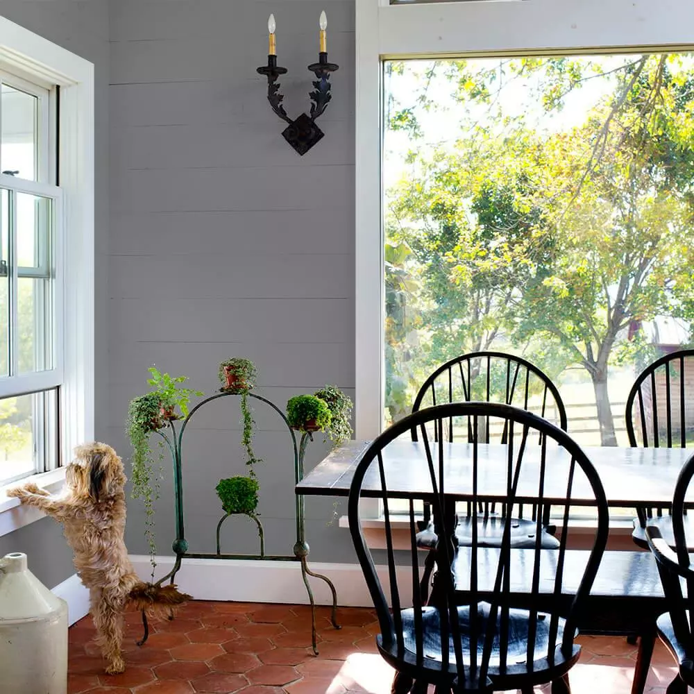 ColorPlace ULTRA Interior Paint & Primer, Elegant Charcoal, Semi-Gloss, 1 Gallon 5 ColorPlace ULTRA Interior Paint & Primer, Elegant Charcoal, Semi-Gloss, 1 Gallon - Image 3