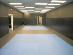 Get Rung Martial Art Mats (1 Inch) 25mm Perfect For Karate, Martial Arts, Judo, Jiu Jitsu, Grapping Interlocking Puzzle Mats -Bath and Faucet shop 1036090a ed54 40c4 b242 23a2c35bfb2c 1.d32bf5233dffb39a909ac8ae56ea8905 1800x1800