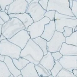 Flexco Conductive Tile Steel Gray 12-in X 12-in Vinyl Tile Flooring (1-sq Ft)