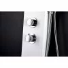 ANZZI Aquifer White 2-Spray Shower Panel System (Valve Included) -Bath and Faucet shop 191042003767 09063814 1800x1800