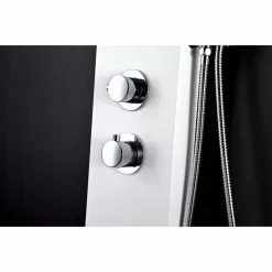 ANZZI Aquifer White 2-Spray Shower Panel System (Valve Included)