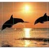 PICTURE-TILES.COM Dolphin Ceramic Tile Mural Kitchen Backsplash Bathroom Shower, 402794-XL64