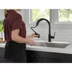 In Stock Hardwarestore Delivery Trinsic Single-Handle Pull-Down Sprayer Kitchen Faucet With MagnaTite Docking In Matte Black -Bath and Faucet shop 1e86ebec93f355a095163185069317ae 1800x1800