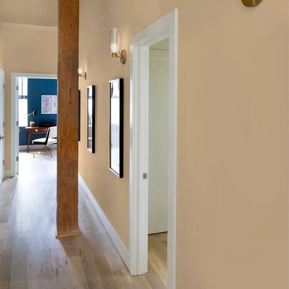 ColorPlace ULTRA Interior Paint & Primer, Warm Caramel, Semi-Gloss, 1 Gallon 6 ColorPlace ULTRA Interior Paint & Primer, Warm Caramel, Semi-Gloss, 1 Gallon - Image 4