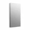 In Stock Hardwarestore Delivery Maxstow 20 In. X 40 In. Frameless Surface-Mount Aluminum Medicine Cabinet