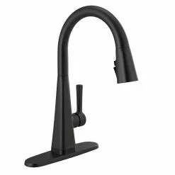 In Stock Hardwarestore Delivery Lenta Single-Handle Pull-Down Sprayer Kitchen Faucet With ShieldSpray Technology SpotShield Stainless -Bath and Faucet shop 47002fcf18846142b914bbc25d61c8ce d8777f7b a135 4a52 b6ec 0d5cc950aa0e 1800x1800