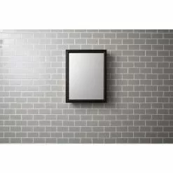 KOHLER 20-in X 26-in Rectangle Surface/Recessed Mirrored Medicine Cabinet