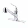 In Stock Hardwarestore Delivery Coralais Single-Handle Pull-Out Sprayer Kitchen Faucet With MasterClean Sprayface In Polished Chrome -Bath and Faucet shop 65adf1d92b7dac9976879f1cb8afe06b 1800x1800