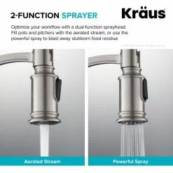 In Stock Hardwarestore Delivery Sellette Single-Handle Pull-Down Sprayer Kitchen Faucet With Dual Function Sprayhead In Spot Free Stainless Steel 18 In Stock Hardwarestore Delivery Sellette Single-Handle Pull-Down Sprayer Kitchen Faucet With Dual Function Sprayhead In Spot Free Stainless Steel -Bath and Faucet shop 67e966fcee0fbcb595f65ca842d514d2 1800x1800