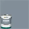 ColorPlace Pre Mixed Ready To Use, Interior Paint, Blue Grey Sky, Flat Finish, 1 Gallon -Bath and Faucet shop 6b944ea3 301d 4488 8df4 cffd5e8301fc 1.a7e62de05fbda1468183b3ad7018d87f 1800x1800