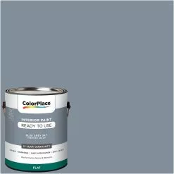 ColorPlace Pre Mixed Ready To Use, Interior Paint, Blue Grey Sky, Flat Finish, 1 Gallon