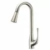 In Stock Hardwarestore Delivery Singer Series Single-Handle Pull-Down Sprayer Kitchen Faucet In Brushed Nickel