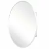In Stock Hardwarestore Delivery 24 In. X 36 In. Recessed Or Surface-Mount Oval Bathroom Medicine Cabinet With Oval Beveled Mirror -Bath and Faucet shop 81a4a2ed967c74a1ff781276a92a86cd 1800x1800