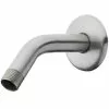 Property Advantage AquaSource 0.5-in Brushed Nickel Shower Arm And Flange