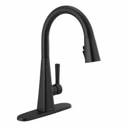 In Stock Hardwarestore Delivery Lenta Single-Handle Pull-Down Sprayer Kitchen Faucet With ShieldSpray Technology SpotShield Stainless -Bath and Faucet shop 92891b9e83e1963ab33871de3a7d74a9 8b3b554d c236 42bf b880 4f1b516cdb59 1800x1800