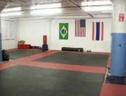 Get Rung Martial Art Mats (1 Inch) 25mm Perfect For Karate, Martial Arts, Judo, Jiu Jitsu, Grapping Interlocking Puzzle Mats -Bath and Faucet shop 9c3c3c75 e89a 4849 b509 8df12805d920 1.10e1d4bba4b3eca2540fe409df347a97 1800x1800