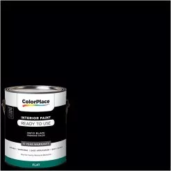 ColorPlace Pre Mixed Ready To Use, Interior Paint, Onyx Black, Flat Finish, 1 Gallon