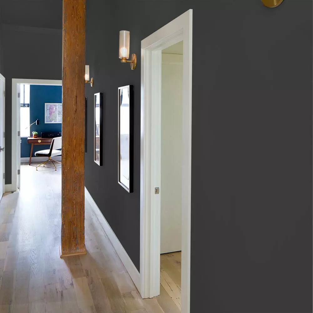 ColorPlace ULTRA Interior Paint & Primer, Onyx Black, Flat, 1 Gallon 6 ColorPlace ULTRA Interior Paint & Primer, Onyx Black, Flat, 1 Gallon - Image 4