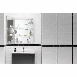 In Stock Hardwarestore Delivery Verdera 24 In. W X 30 In. H Recessed Medicine Cabinet In Anodized Aluminum -Bath and Faucet shop a6841739625c12cfb4eb7f2c3ca2d259 1800x1800