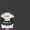 ColorPlace Pre Mixed Ready To Use, Interior Paint, Onyx Black, Semi-Gloss Finish, 1 Gallon -Bath and Faucet shop aba0cc33 47de 4d9f a0cd 7b77c62198ae 1.74f1272ee32dfd02be4b74fd4f5de3a7 1800x1800