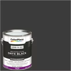 ColorPlace Pre Mixed Ready To Use, Interior Paint, Onyx Black, Semi-Gloss Finish, 1 Gallon