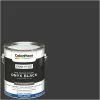 ColorPlace Pre Mixed Ready To Use, Interior Paint, Onyx Black,Semi-Gloss Finish, 1 Gallon