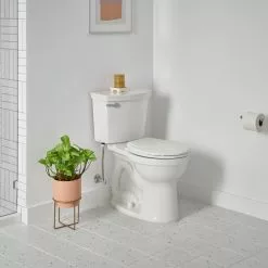 American Standard Champion Tall Height 2-Piece High-Efficiency 1.28 GPF Single Flush Round Front Toilet In White Seat Included 17 American Standard Champion Tall Height 2-Piece High-Efficiency 1.28 GPF Single Flush Round Front Toilet In White Seat Included -Bath and Faucet shop b62fb820189fd9533efcfd9a2e0426e4 1800x1800
