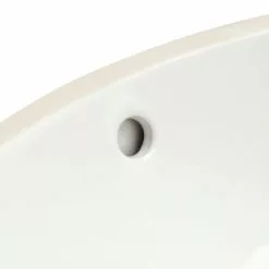 KOHLER Caxton Vitreous China Undermount Vitreous China Bathroom Sink In White With Overflow Drain -Bath and Faucet shop c76912591d5454f403b172fc974eb318 1800x1800