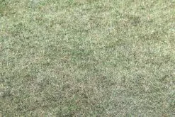 Bry-Tech Furniture1 Automotive Jute Carpet Padding 27 Oz 36" Wide By 25 Yards Goes Under Carpet In Cars And Trucks