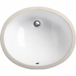 KOHLER Caxton Vitreous China Undermount Bathroom Sink In White With Overflow Drain -Bath and Faucet shop d6bed85a3cbe801105cb3836ffd543b8 1800x1800