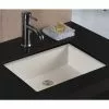 Wells 20 In. X 16 In. X 6 In. Rectangular Vitreous Ceramic Lavatory Single Bowl Undermount In Bisque -Bath and Faucet shop edffde41ee54586a5c6ebe12fd538693 1800x1800