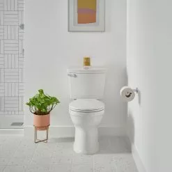 American Standard Champion Tall Height 2-Piece High-Efficiency 1.28 GPF Single Flush Round Front Toilet In White Seat Included 23 American Standard Champion Tall Height 2-Piece High-Efficiency 1.28 GPF Single Flush Round Front Toilet In White Seat Included -Bath and Faucet shop f36bdadb7269186b11972a17098581c7 1800x1800